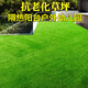 Simulated lawn carpet artificial artificial balcony floor mat kindergarten green outdoor fake grass plastic turf decoration 2cm extra dense spring grass (2m wide 25m) 50 square meters