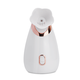Hot spray facial steamer to hydrate and moisturize, household facial steamer, beauty instrument, delicate spray machine, facial humidifier, nano spray to hydrate, girlfriend and elders Christmas gift 904 white