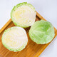 Shuang Da Cai plateau breaded cabbage about 500g