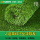Co-Create Lawn Artificial Turf Courtyard Kindergarten Golf Simulated Turf Garden Gym School Rooftop Fake Lawn Villa 60mm Thickened Encrypted Ordinary Style
