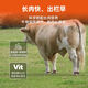 YINGMEIER Beef Cattle Grow Meat YINGMEIER Premix Fattening Feed Simmental Cattle Feed Cattle Fattening and Slaughtering 5% Beef Cattle Grow Meat 25kg