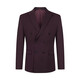 Qipai men's double-breasted suit men's spring and summer new business striped suit vest three-piece set including wool 0920 127C7092B-Crimson Purple 46 (170/92B)