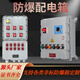 Explosion-proof distribution box explosion-proof junction box lighting power box maintenance power socket box switch electric control cabinet stainless steel 135*200*100 increased safety type complete set of wiring three circuits