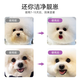OUOETY Bichon bearded dog mouth hair cleaning pet hair dry cleaning no-wash foam 1 bottle