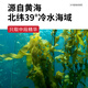 Yihai 亿海裙带菜梗香辣味110g*7袋 大连产地标认证低脂海藻沙拉海白菜