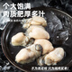 Haidingji Frozen Oyster Meat 800g (400g*2) Oyster Meat Hot Pot BBQ Ingredients Seafood Fresh New Year's Eve