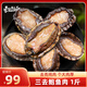 Dongshang Yupin Shandong processing-free abalone pure meat net weight 500g hot pot barbecue ingredients fresh seafood-direct from the source