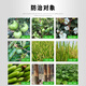 Huayi Shanghai Huayi Ethephon Ethephon Cotton Persimmon Banana Tomato Ripening Agent B Heili Growth Regulator Huayi Ethephon 1kg