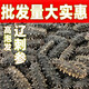 Dalian bottom-sown light-dried sea cucumber Mid-Autumn Festival gift box national standard really light-dried 15 times high foaming and high nutrition gift box 1 piece trial version