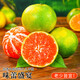 Jingmi Zhejiang Taizhou Yongquan Mandarine, Nettogewicht 2,5 Jin Jin entspricht 0,5 kg, Einzelfrucht 55 mm+, Zitrusfrucht-Geschenkbox, direkt von der Quelle