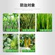 Yunda 120 Yunda 120 28 table high brassinolide leafy vegetables wheat corn plant growth regulator agricultural 500ml