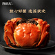 Live crabs Su Zhuangyuan fresh hairy crabs in stock whole female crabs 4.0-4.3 taels 8 large crabs with ropes and heavy seafood gift boxes sent directly from the source