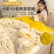 MUJI Class A pure cotton bean quilt children's quilt autumn and winter kindergarten winter quilt spring and autumn quilt core pure cotton single quilt cute Pacha dog skin-friendly cotton light and breathable 120cm*150cm winter quilt about 3.5Jin Jin equals 0.5kg
