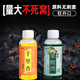 Shengxilu High Concentration Small Medicine Fruit Acid Barley Sweet Potato Paste Concentrated Nest Feed Wild Fishing Crucian Carp Carp Black Pit Fishing Bait 1 bottle Concentrated Thousand Miles 60ml No Specifications