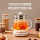 Bear (Bear) Health Kettle Hot Kettle Tea Maker Tea Kettle Electric Kettle Constant Temperature Electric Kettle Insulated Flower Tea YSH-D20F3 with Filter 2L