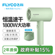 Feike hair dryer household quick-drying portable student dormitory low-noise hot and cold air high-power hair dryer negative ion hair care hair dryer 6290/6276 non-negative ion model + constant temperature healthy soft wind FH6296 emerald green