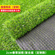 Liangxiang Simulated Lawn Carpet Plastic Artificial Green Fake Turf Kindergarten Balcony Outdoor Padding Courtyard Engineering Fence 2mx1m Spring Grass 2cm Encrypted Style
