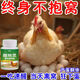 Xingbaoling hens wake up non-roosting chickens, ducks, geese and poultry to nest and love their nests. Feed additives for hatching eggs. Special bottle for hens to wake up and cuddle and fall in love with their nests.