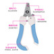 Pet Nail Clipper Set File Stainless Steel Cat and Dog Nail Clipper Cleaning and Beauty Supplies Pink Set-Small Factory Direct Sales