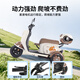 Phoenix Beetle electric vehicle tricycle small household electric motorcycle adult leisure three-wheeled small electric vehicle 800W+60V30A lithium battery + battery life of about 65 kilometers