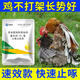 Veterinary anti-pecking and biting spirit, egg-pecking, feather-pecking and anal medicine, chicken, duck, goose, pica, cartilage, soft-shell egg feed additive, 5 bags