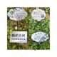 Stainless steel tree sign spring tension spring rope hanging chain stainless steel material retractable without damaging the tree sign sign customization stainless steel 0.6*20CM spring including one screw 0x0cm