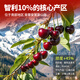 Uncle Sam Chilean cherries JD SF - next-day delivery to many places 4J grade large cherry fruit gift box New Year gift 2Jin Jin equal to 0.5kg (net weight) (cost-effective package) early adopter gift box black diamond level Big Mac 3J 30-32mm