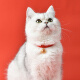 Hanhan Paradise Cat Collar Cat Bell Dog Pet Cartoon Bell Collar Lanyard Teddy Pet Cat Accessory Lucky Blessing