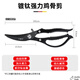 Wang Mazi titanium-plated powerful chicken bone scissors special for cutting chicken, duck and goose bones, kitchen household scissors for killing fish Mo Feng series titanium chicken bone scissors