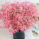 Jatu Dace Festival Dried Flowers Everlasting Gypsophila Real Flowers Home Wedding Decoration Flower Arrangement Window Soft Decoration Landscaping Dream Star Yunnan Straight Everlasting Gypsophila Light Pink About 420g
