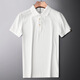Dances with Wolves (DANCING WOLVES) high-end light luxury short-sleeved polo shirt men's light business ice silk lapel T-shirt single breathable shirt collar white L