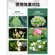 YWZR Potassium Dihydrogen Phosphate Fertilizer Flower Special Agricultural Plant Potted Flower-promoting Phosphorus Potassium Fertilizer Water-soluble Foliar Fertilizer Potassium Dihydrogen Phosphate 500g 4 cans Free Rooting Liquid + Vitality + Rooting Powder