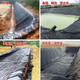 Fish pond anti-seepage membrane geomembrane black plastic leak-proof fish pond special membrane lotus pond membrane thickened pool membrane waterproof cloth 0.5mm thick new material 4 meters wide and 5 meters long