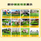 Fake lawn simulated artificial turf plastic green carpet rooftop balcony roof sun room villa courtyard outdoor 2.5cm thickened extra dense spring grass 2.5m wide 14m long manual cutting