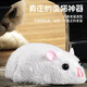 
Youguan mouse toy remote control electric simulation animal boy girl fake cockroach scary internet celebrity prank children's toys [yellow and black model] remote control centipede 9901+ screwdriver [upgraded version] 24 electronics