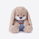 Choosing a Mate Second Generation Diudiu Rabbit Sleeping Doll Valentine's Day Gift Box for Girls Cute Rabbit Plush Toy Doll