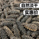 Dalian bottom-sown light-dried sea cucumber Mid-Autumn Festival gift box national standard really light-dried 15 times high foaming and high nutrition gift box 1 piece trial version