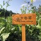 Solid wood gardening ground wooden sign outdoor signage vegetable garden plant corner class sign kindergarten planting area sign 15*30 cm please ask customer service for customization price