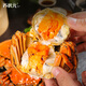 Live crabs Su Zhuangyuan fresh hairy crabs in stock whole female crabs 4.0-4.3 taels 8 large crabs with ropes and heavy seafood gift boxes sent directly from the source