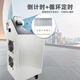 Aijenu Auto Repair 4S Shop Ozone Disinfection Machine Oxygen Machine Air Purification, Sterilization, Odor Removal, Formaldehyde Benzene Generator Roller Model Car Special (Upgraded Long Battery Life)