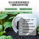 Strawberry special fertilizer slow-release fertilizer organic fertilizer balcony potted strawberry fertilizer to sweeten, improve quality, increase production and promote growth Special strawberry fertilizer 1Jin Jin equals 0.5 kg *1 can
