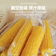 Jingxiansheng & Mengzhibao MON BEAU Inner Mongolia organic sweet waxy corn 200g+-10g x8 sticks 1.6kg straight from the source