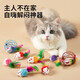 Cat toy ball, cat teasing stick, mouse-shaped self-pleasure and boredom relief artifact, door-to-door delivery, one caged rat (randomly mixed colors)