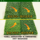 Simulated lawn, fake turf, artificial turf carpet, outdoor lawn mat, football field balcony landscaping, balcony landscaping, 5D black back, 2cm double-layer grid, extra dense spring grass, 1 meter wide*6 meters long