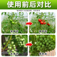 Barometer ene hydroxy ene adenine tomato special growth regulator to increase production special genuine ene adenine hydroxy ene adenine 200g*1 bag store hot sale