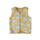 Cotton hall double-sided vest thick plush jacket for boys 2025 autumn new style plush vest for girls xt2 interesting geometry 120
