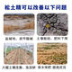Jiayan loosening essence soil activator black water fertilizer requires no deep tillage to prevent hardening and improve loose soil artifact loosening agent 1000g buy three for five