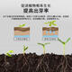 Plant bursting hormone, budding hormone, succulent leaf inserts, bud-promoting germination, household flower growing fertilizer, old pile plant clear leaf fertilizer, old pile dry yellow leaves first aid, new buds grow, 1 barrel 2500ml