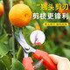 Fengxi thickened stainless steel fruit-picking scissors elbow scissors thinning fruit scissors for picking tomatoes and citrus scissors gardening scissors green thickened stainless steel long scissors with scissors 1 piece for trial