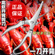PLYS kitchen crayfish back-opening scissors, back-opening artifact, shrimp line removal tool, stainless steel household shrimp peeling scissors, new crayfish back-opening shrimp scissors